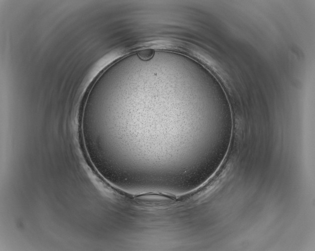 X0000112741426200909031456