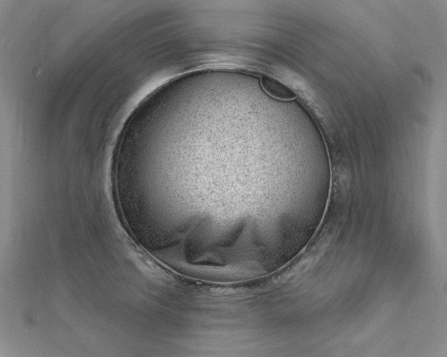 X0000112741427200909031456