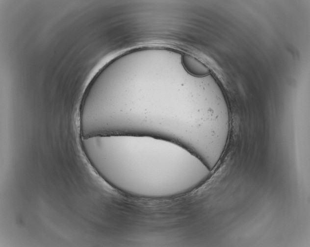 X0000112741428200909031456