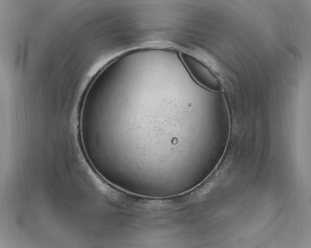 X0000112741430200909031456