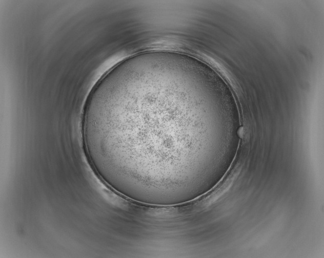 X0000112741434200909031456