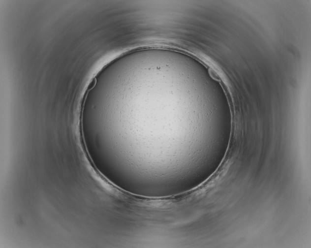 X0000112741437200909031456