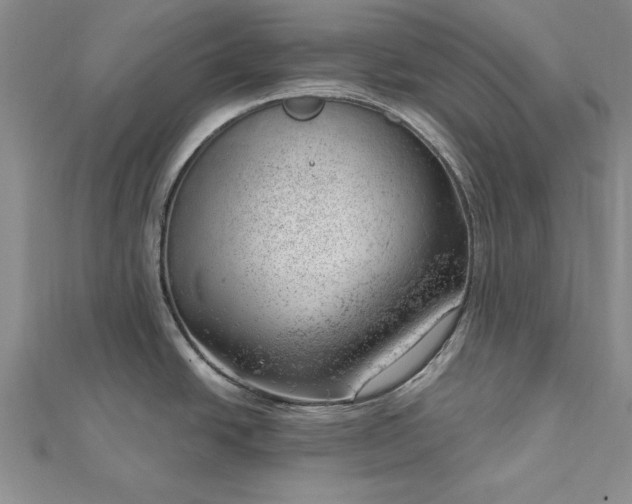 X0000112741438200909031456