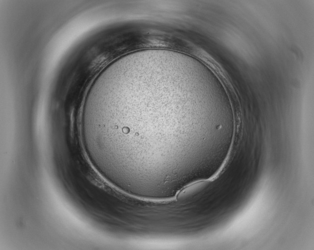 X0000112741439200909031456