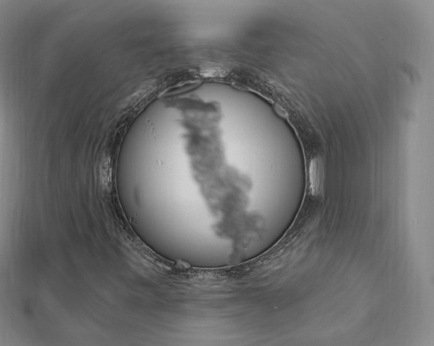 X0000112741443200909031456