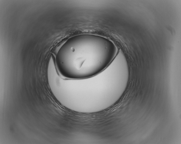 X0000112741444200909031456