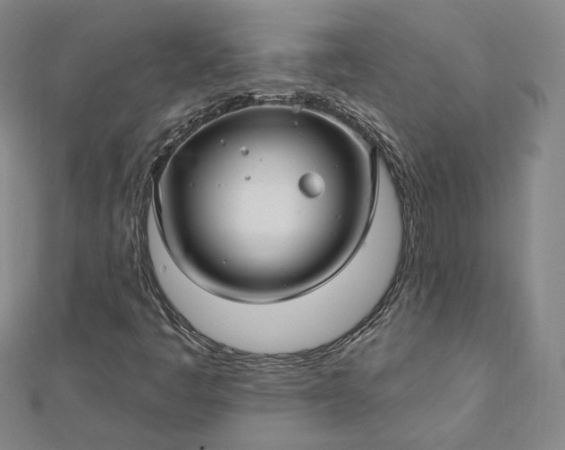 X0000112741445200909031456