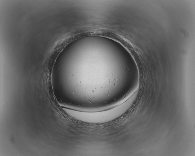 X0000112741447200909031456