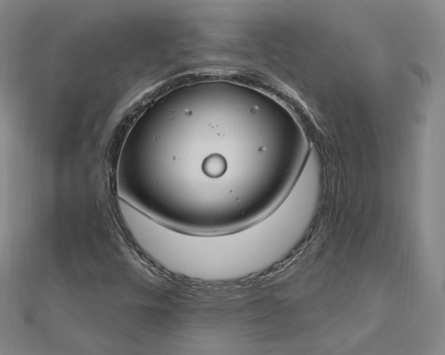 X0000112741448200909031456