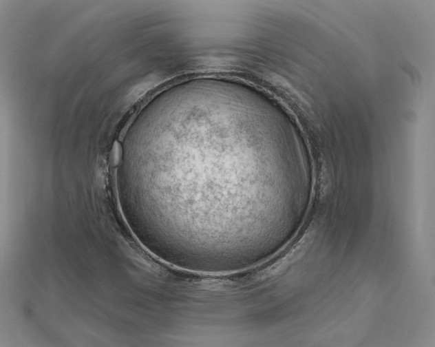 X0000112741449200909031456