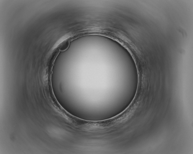 X0000112741450200909031456