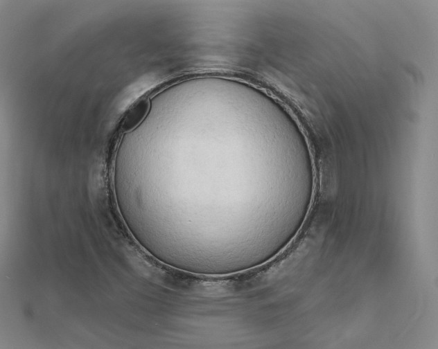 X0000112741453200909031456