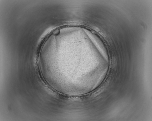 X0000112741454200909031456