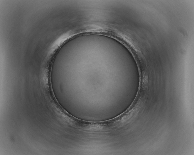 X0000112741455200909031456