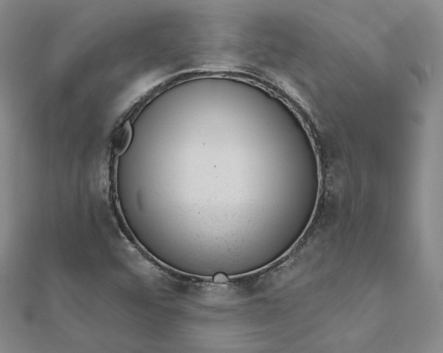 X0000112741456200909031456