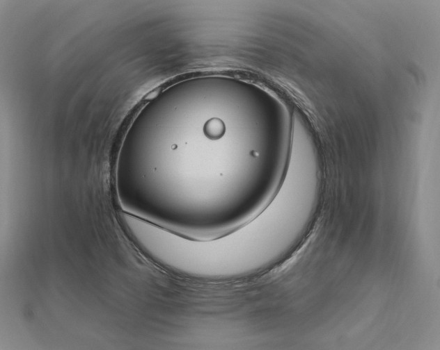 X0000112741457200909031456