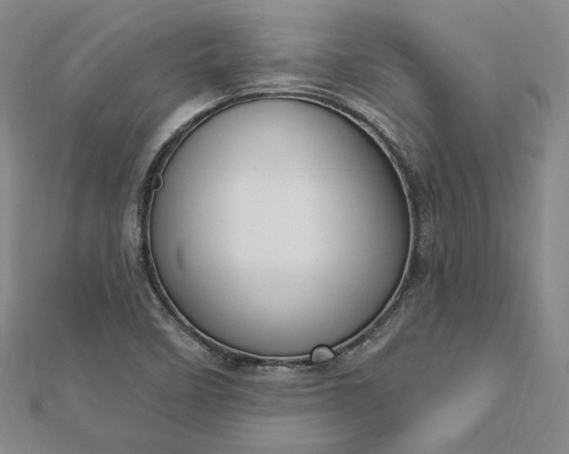 X0000112741458200909031456