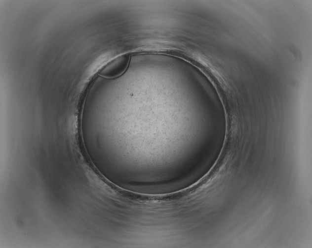 X0000112741459200909031456