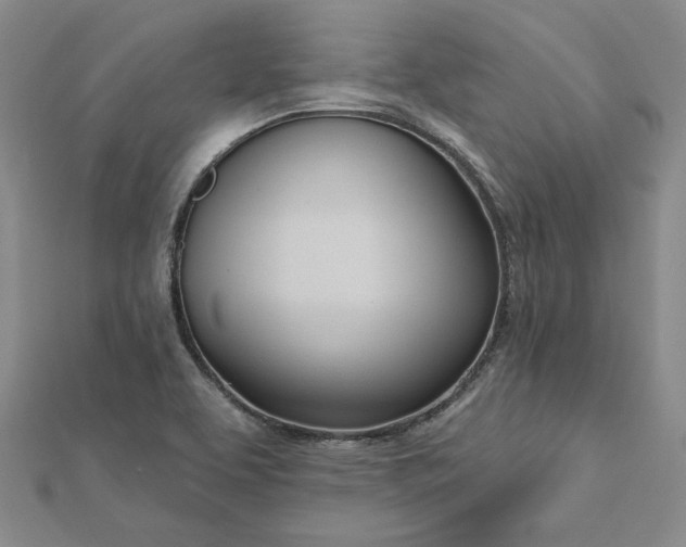 X0000112741463200909031456