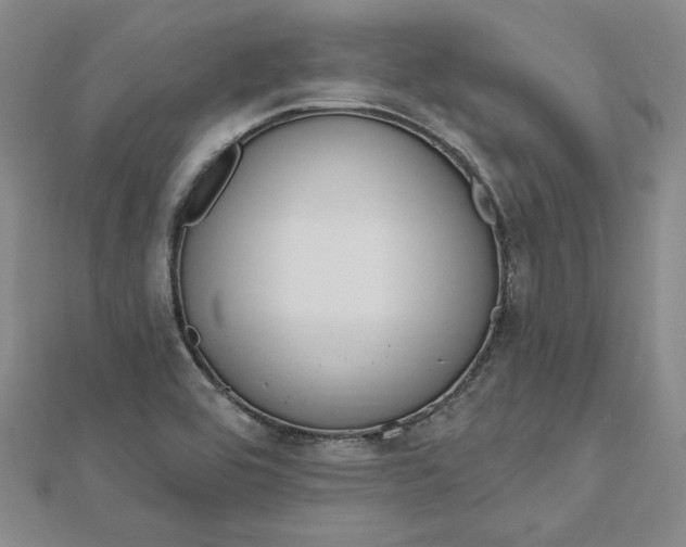 X0000112741464200909031456