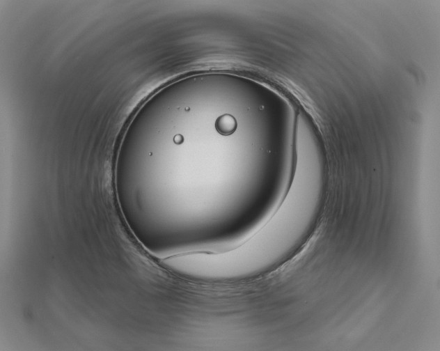 X0000112741465200909031456