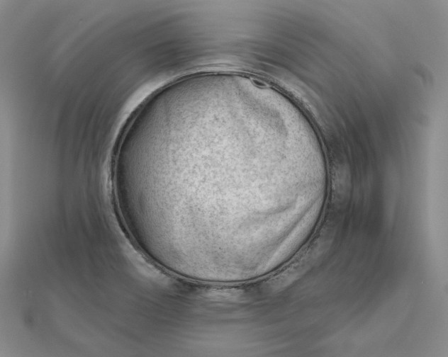 X0000112741466200909031456