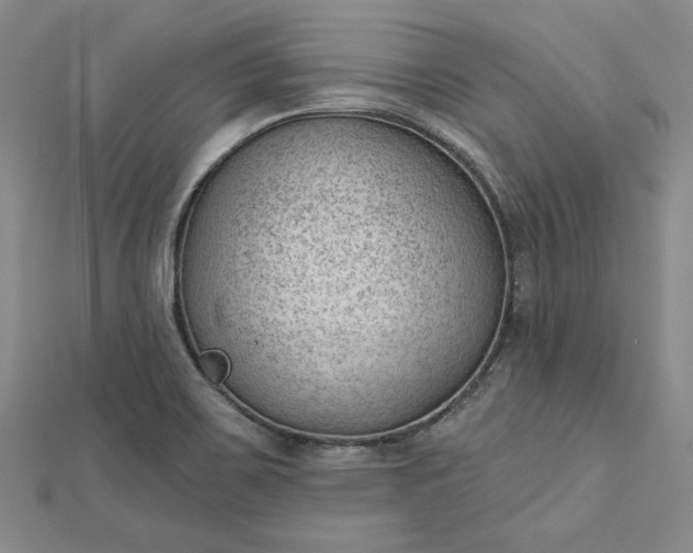 X0000112741467200909031455