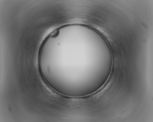 X0000112741469200909031455