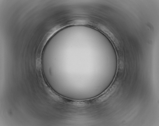 X0000112741473200909031455