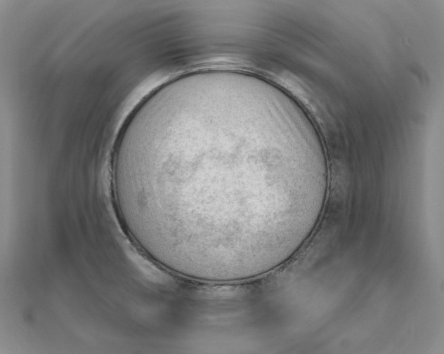 X0000112741474200909031455