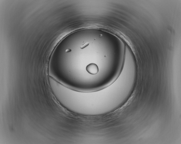 X0000112741481200909031455