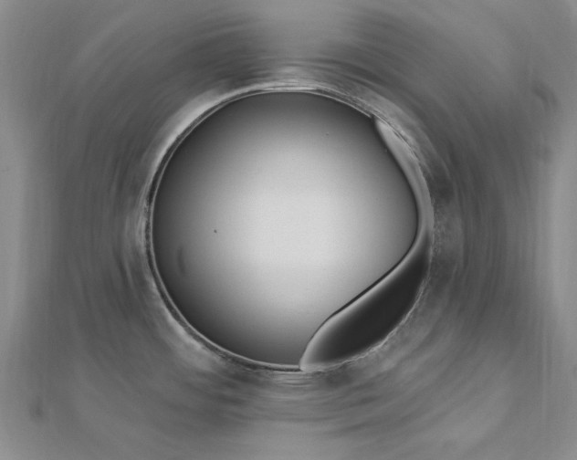 X0000112741484200909031455