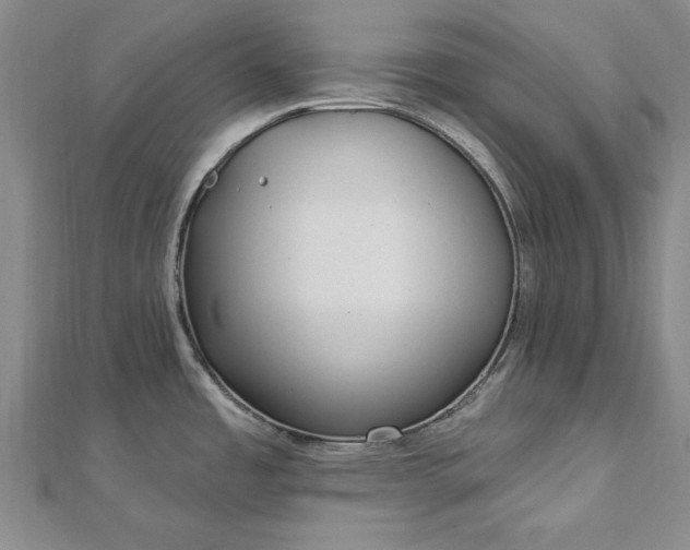 X0000112741485200909031455