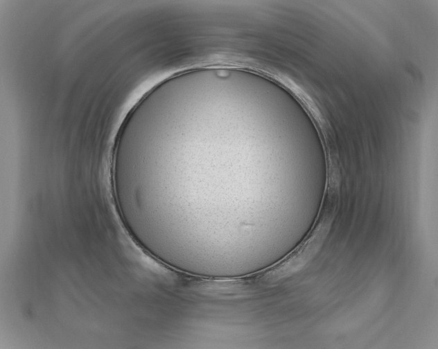 X0000112741486200909031455