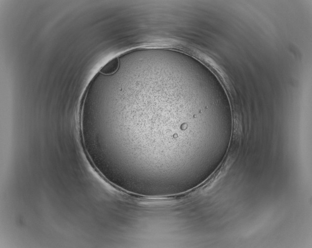 X0000112741487200909031455