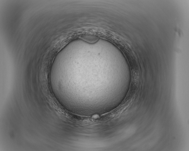 X0000112741489200909031454