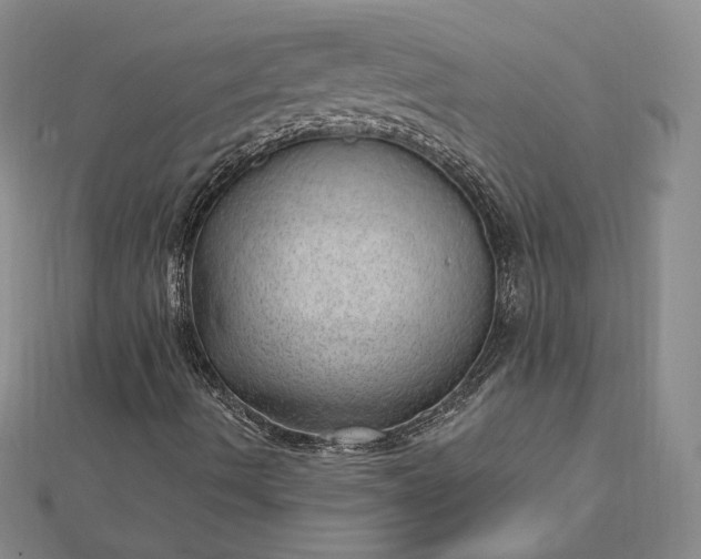 X0000112741490200909031454