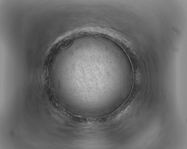 X0000112741494200909031455