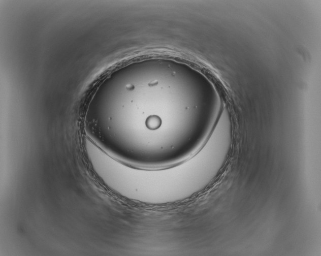 X0000112741496200909031455