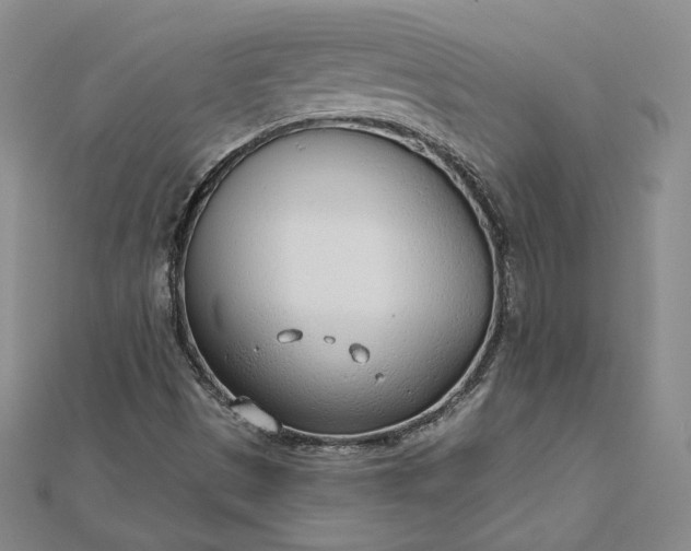 X0000112741497200909031455