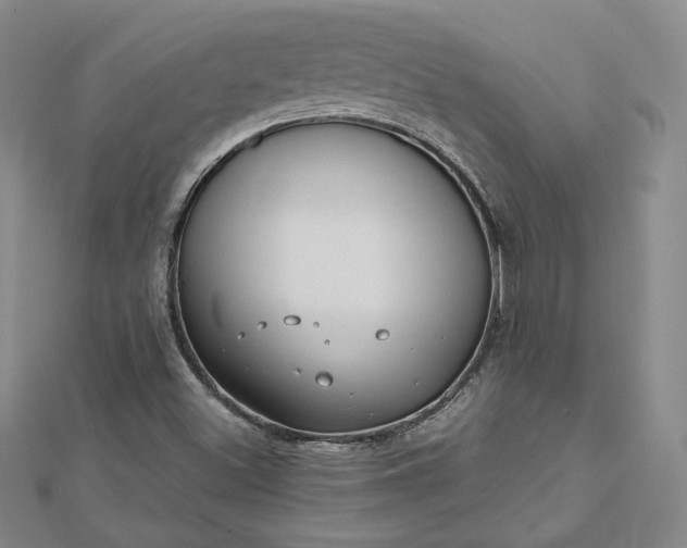 X0000112741500200909031455