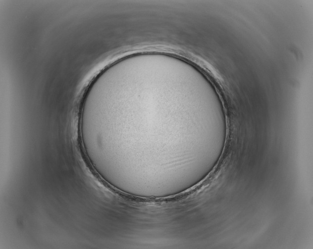 X0000112741504200909031455