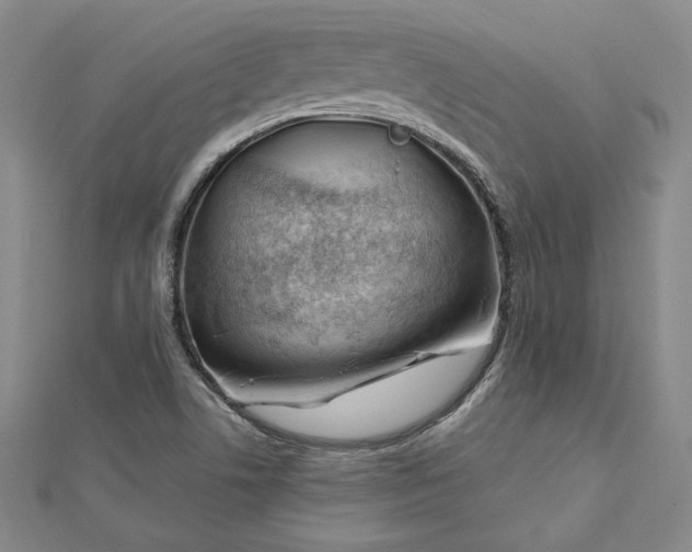 X0000112741506200909031455