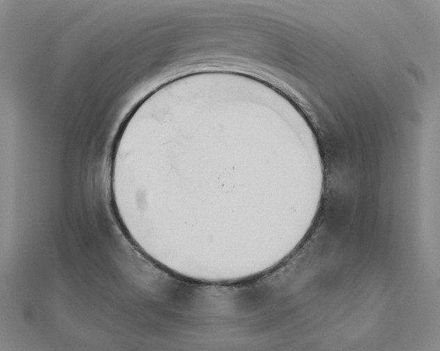 X0000112741514200909031455