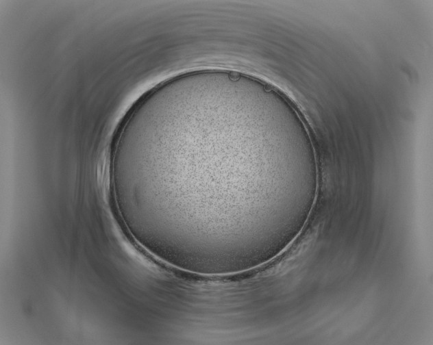 X0000112741515200909031455