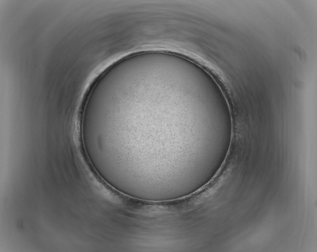 X0000112741517200909031455