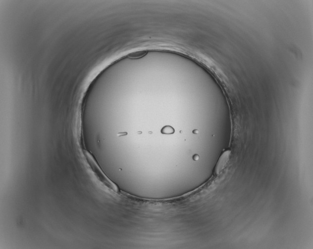 X0000112741520200909031455