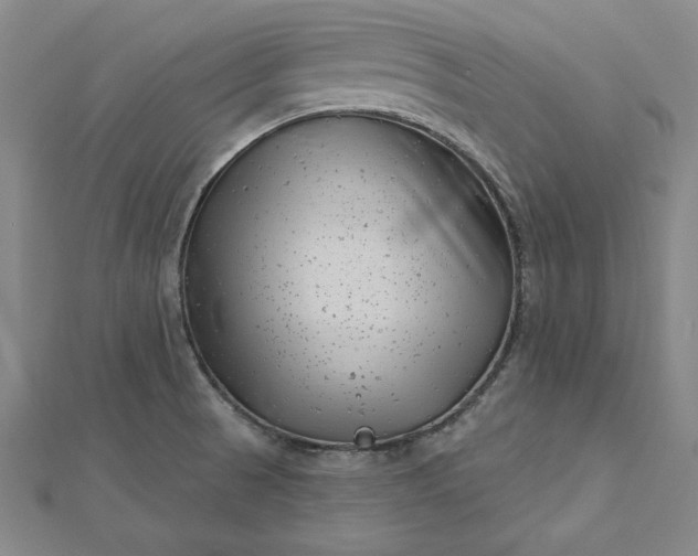 X0000112741521200909031455