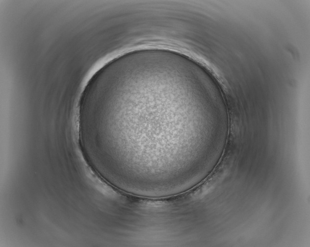 X0000112741522200909031455