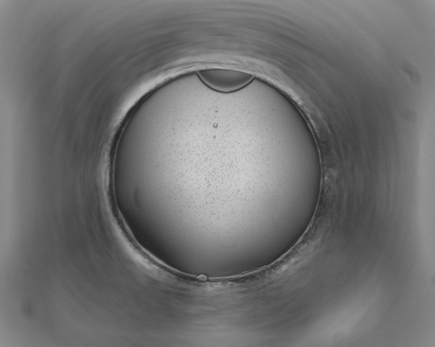 X0000112741523200909031455